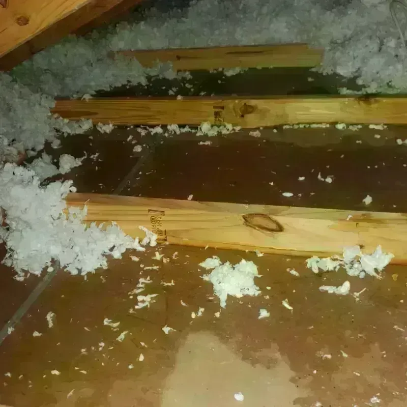 Attic Water Damage in Moore County, NC