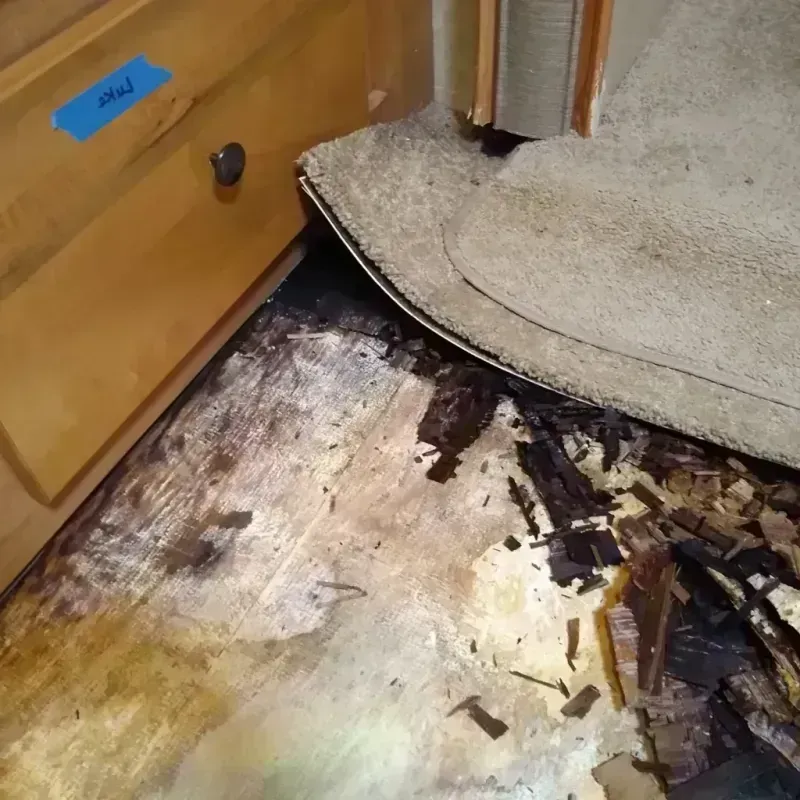 Wood Floor Water Damage in Moore County, NC